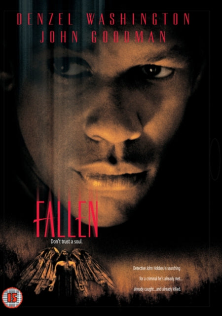 Fallen (DVD)