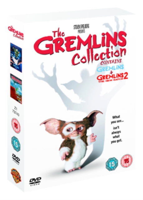 Gremlins  Gremlins 2  The New Batch (DVD)
