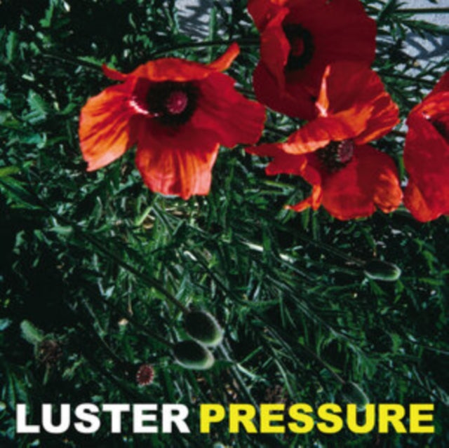 Luster - Pressure (Vinyl)