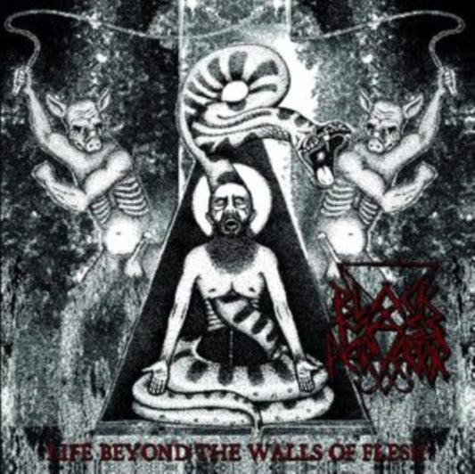 Black Mass Pervertor - Life Beyond The Walls Of Flesh (Vinyl)