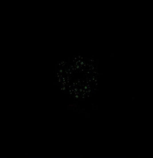 Dughpa - II (CD)