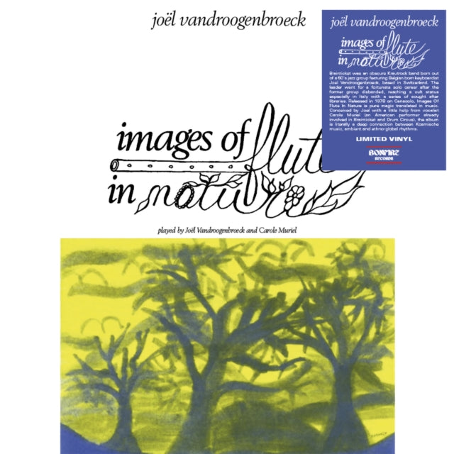 Joel Vandroogenbroeck - Images Of Flute In Nature (Vinyl)
