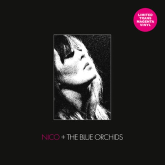Nico + The Blue Orchids - Live And In Session 1982 (Transparent Magenta Vinyl) (Vinyl)