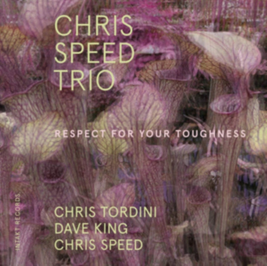 Chris Speed Trio - Respect For Your Toughness (CD)