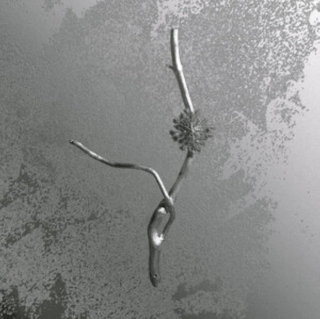Gaia Banfi - La Maccaia (Vinyl)