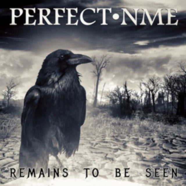 Perfect Nme - Remains To Be Seen (CD)