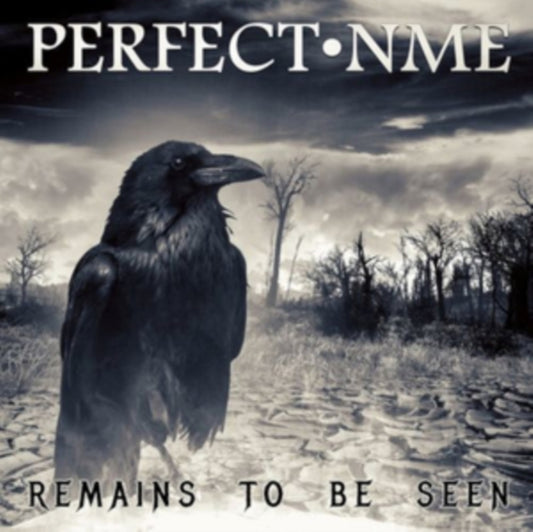 Perfect Nme - Remains To Be Seen (CD)