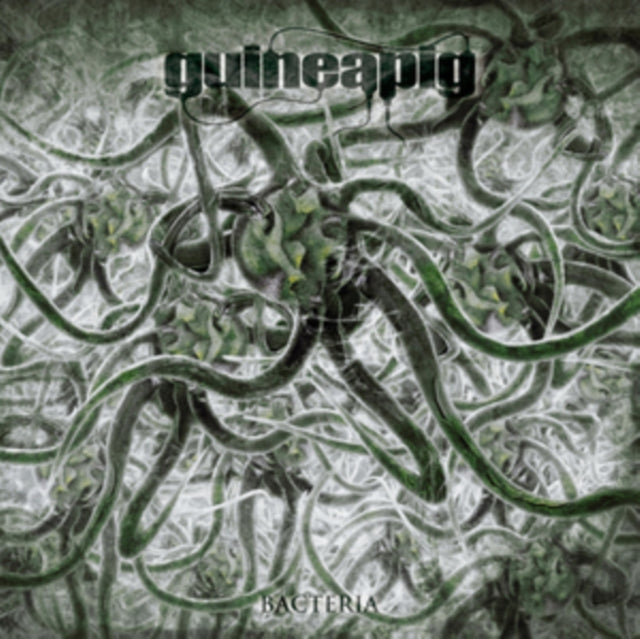 Guineapig - Bacteria (Vinyl)