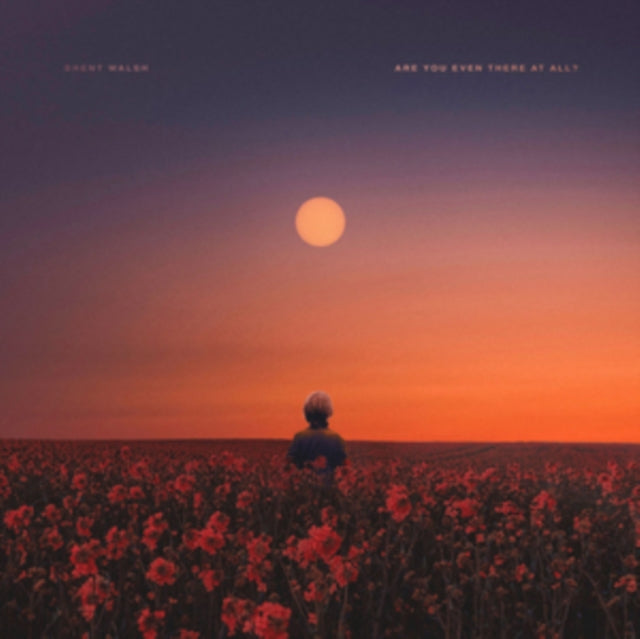 Brent Walsh - Are You Even There At All? (CD)