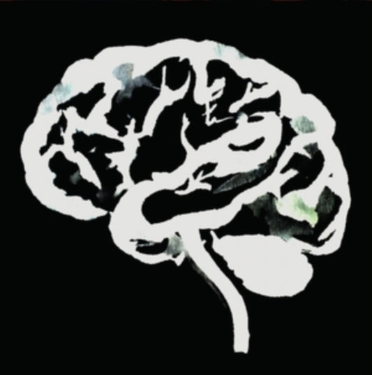 Ruins - Brain Flakes (Vinyl)