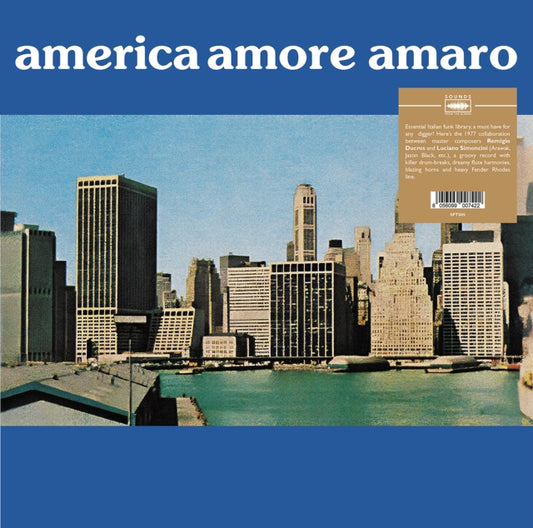 Remigio Du Cros / Luciano Simoncini - America Amore Amaro (Vinyl)