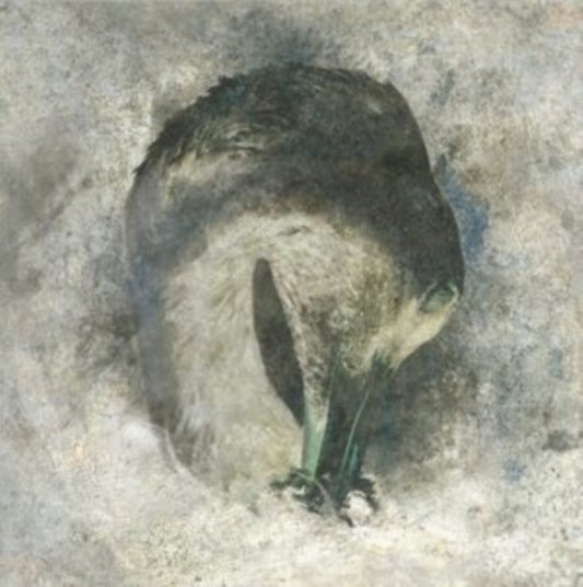 Suma - Ashes (20th Anniversary Edition) (CD)