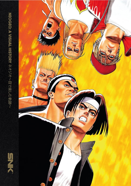 Neogeo: A Visual History (Books)