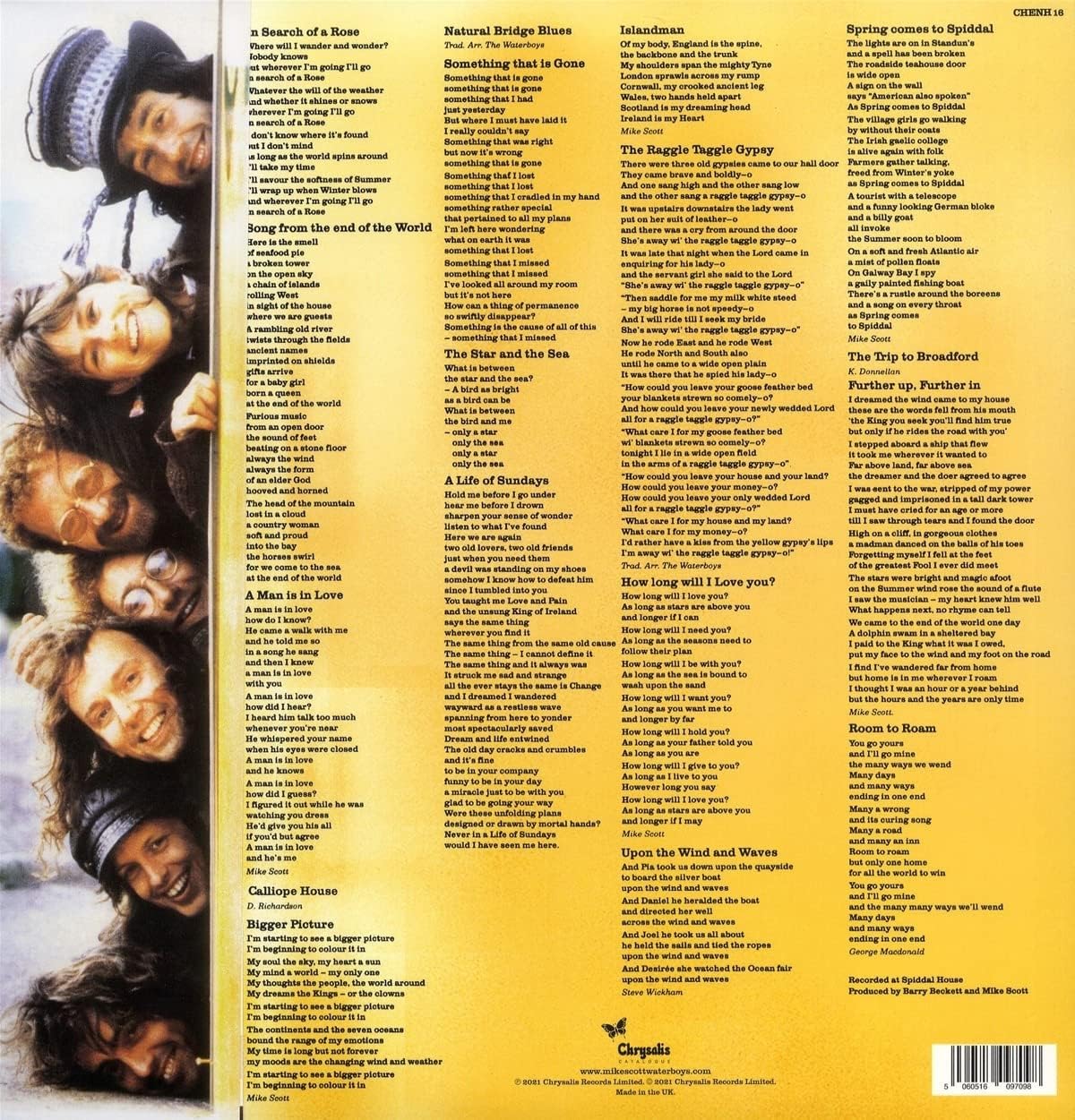 Waterboys - Room To Roam (Half Speed Master) (Vinyl)