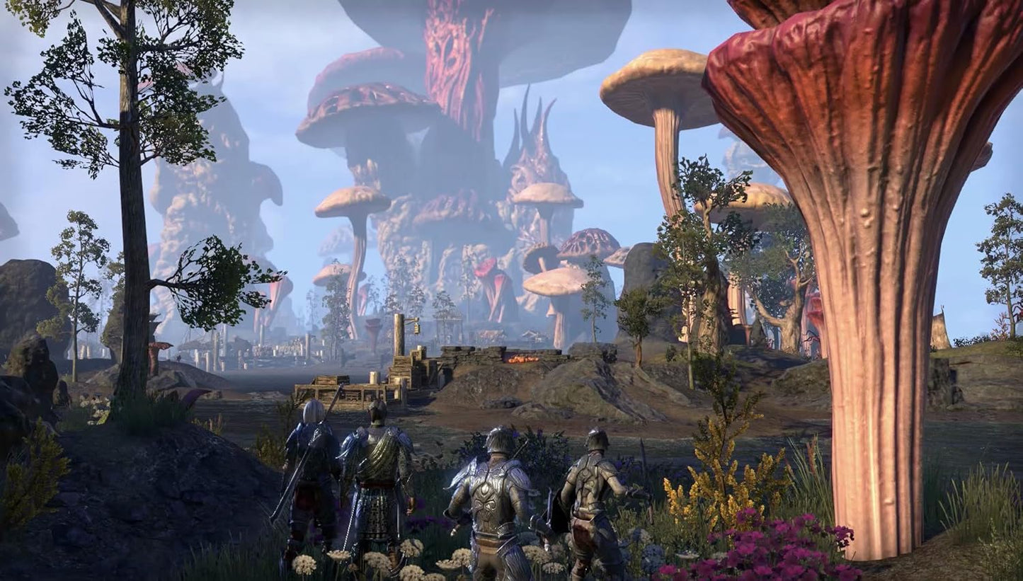 The Elder Scrolls Online: Morrowind (PS4)
