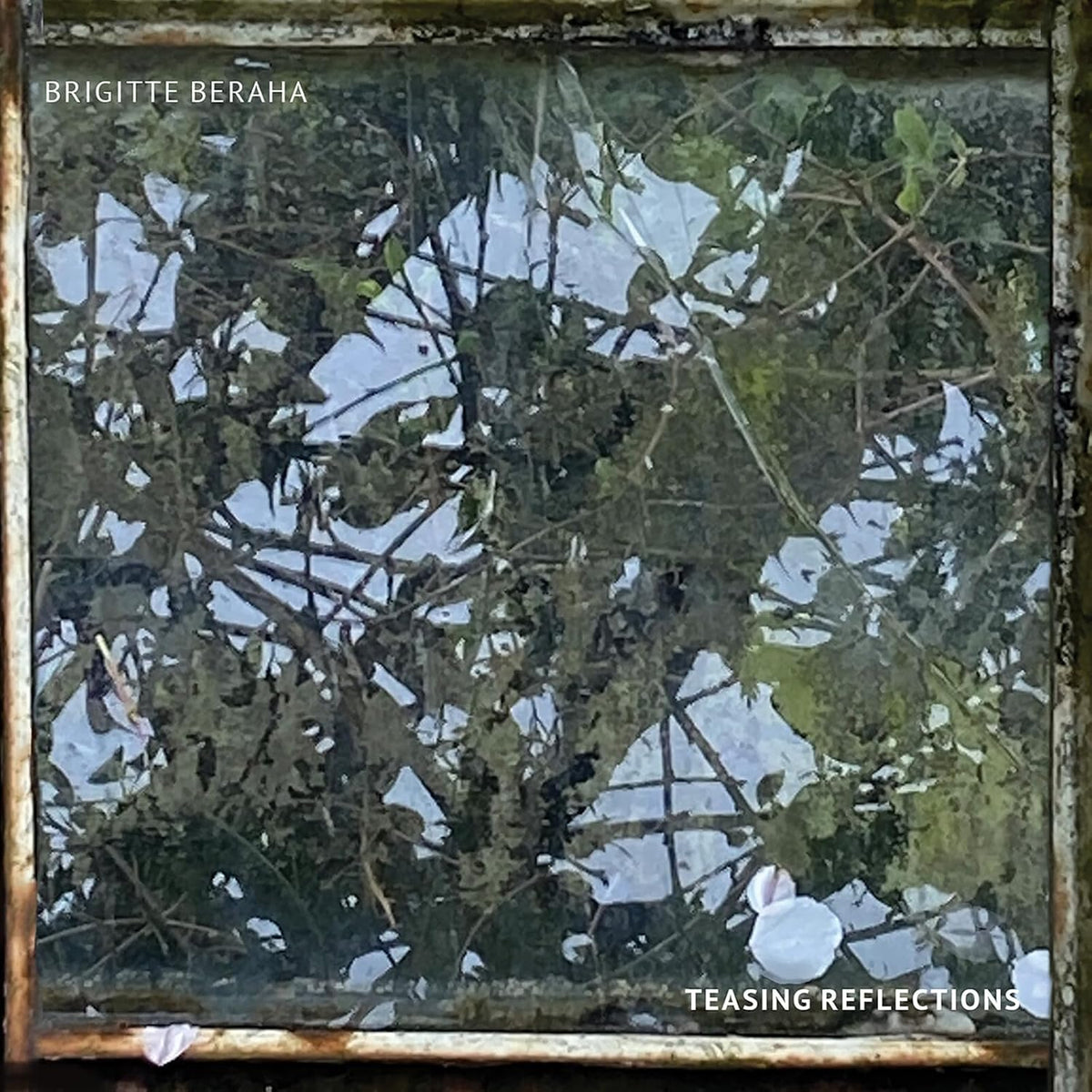 Brigitte Beraha - Teasing Reflections (CD)