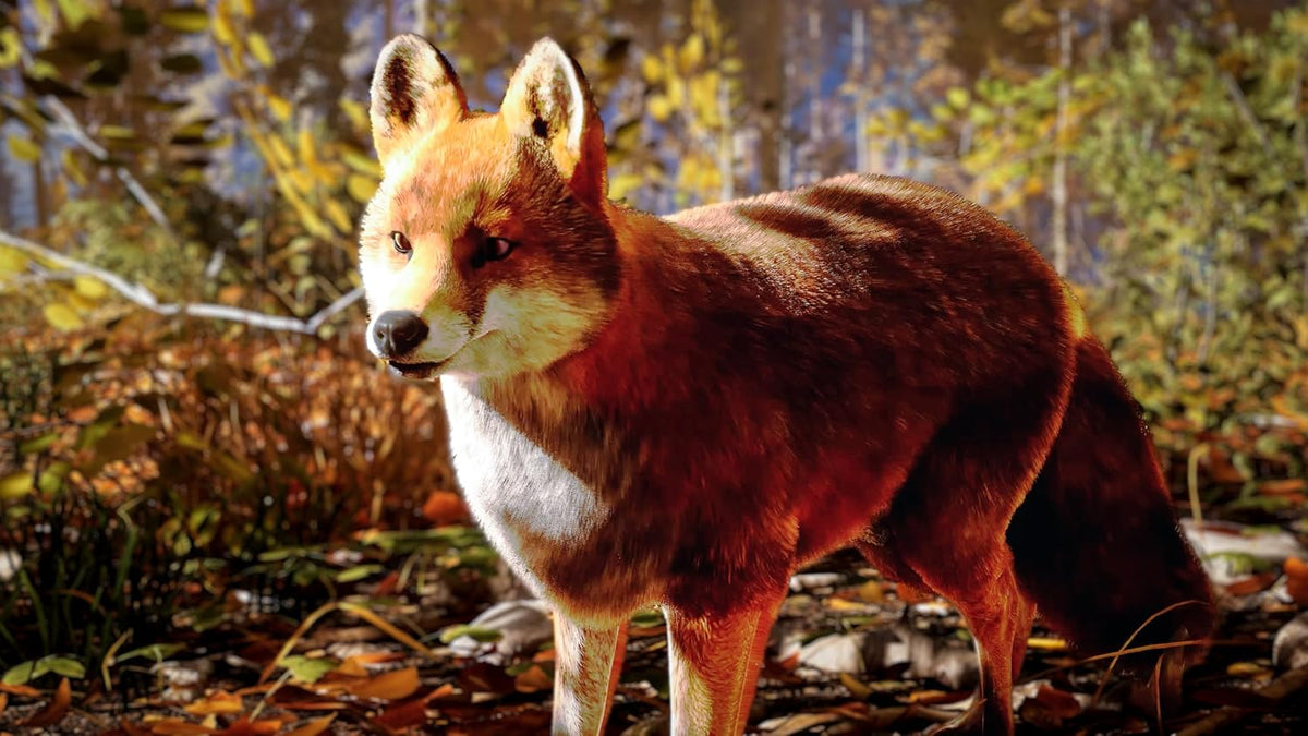 Hunting Simulator 3 (Xbox Series X/S)