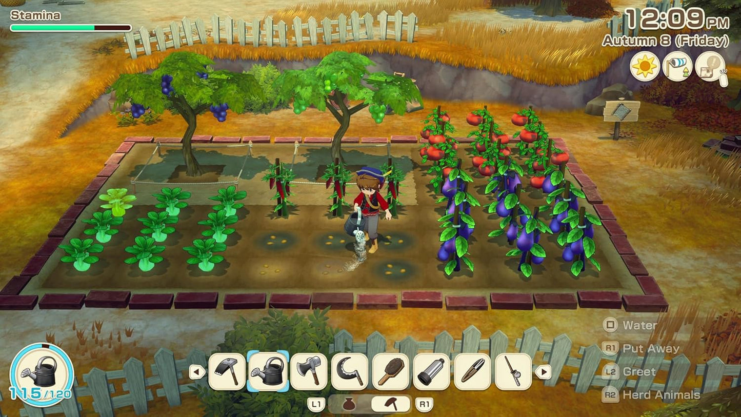 Story of Seasons: Grand Bazaar (PS5)