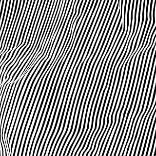 Animal Hospital - Fatique (Vinyl)