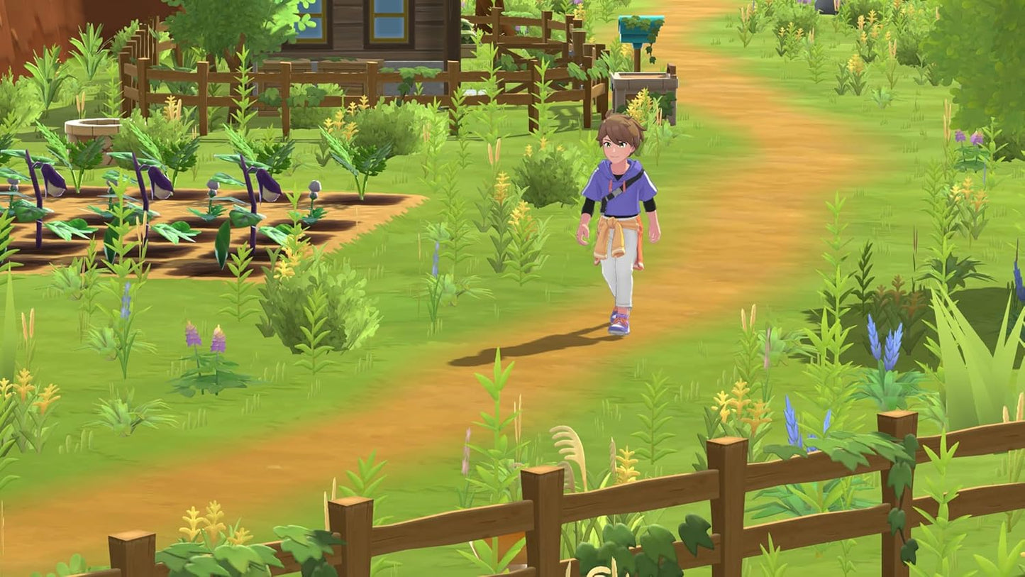 Harvest Moon: Home Sweet Home - Special Edition (Nintendo Switch)