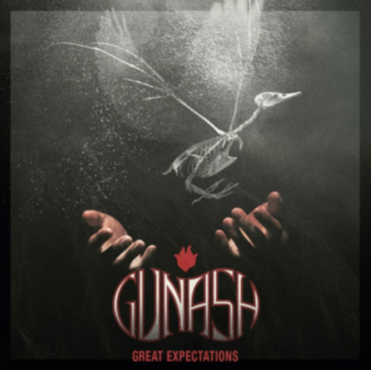 Gunash - Great Expectations (CD)