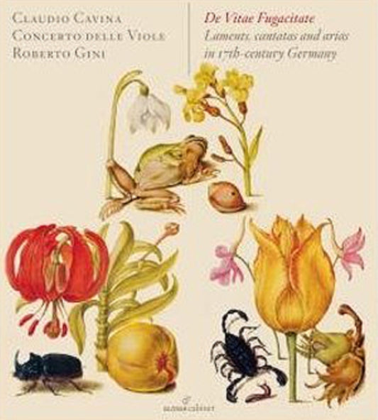 Cavina / Concerto Delle Viole - De Vitae Fugacitate - Laments (CD)