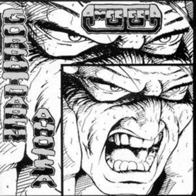 Anestesia - Gorrotoaren Ahotsa (Vinyl)