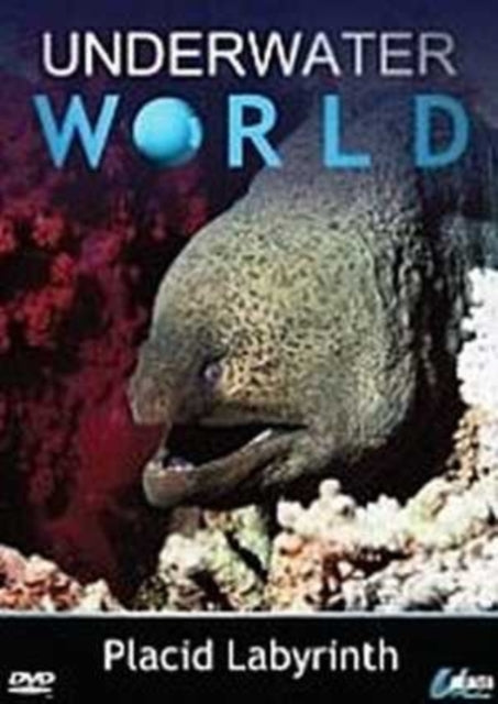 Underwater World  Placid Labyrinth (DVD)