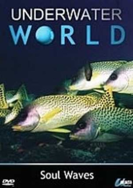 Underwater World  Soul Waves (DVD)
