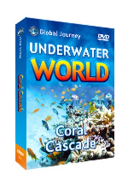 Magical Waves (DVD)