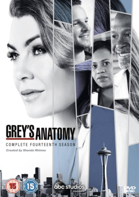 Greys Anatomy Season 14 (DVD)