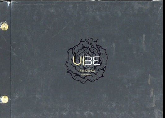 Vibe - Ritardando (CD)