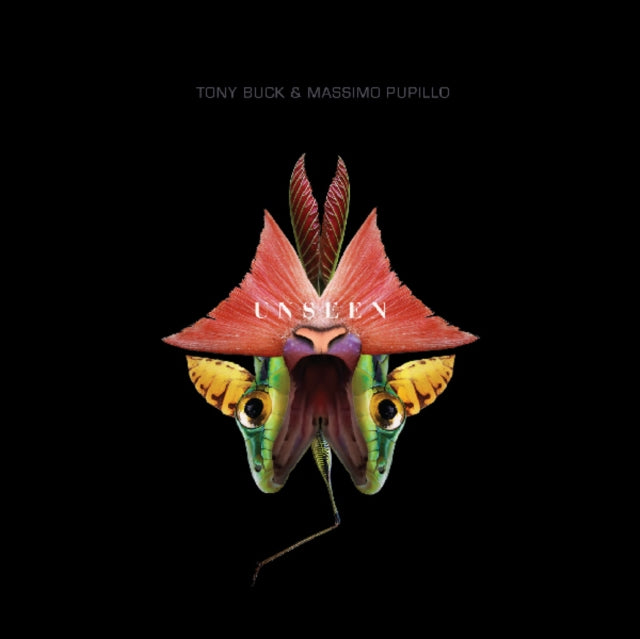 Tony Buck And Massimo Pupillo - Unseen (CD)