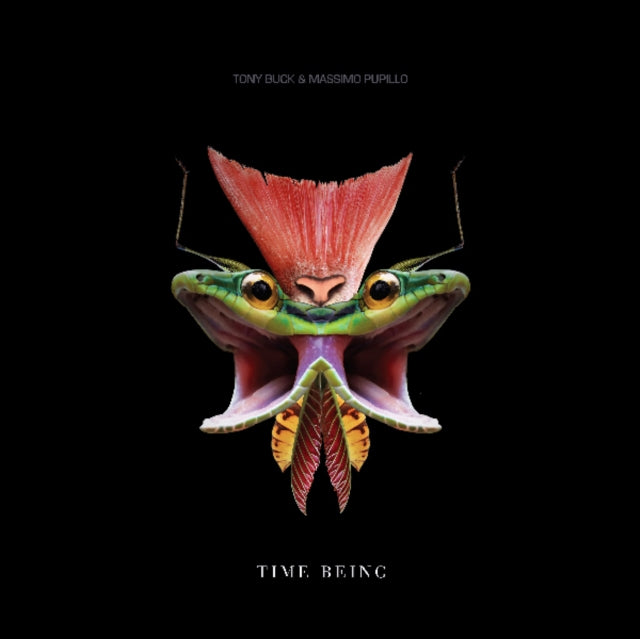 Tony Buck And Massimo Pupillo - Time Being LP (Vinyl)