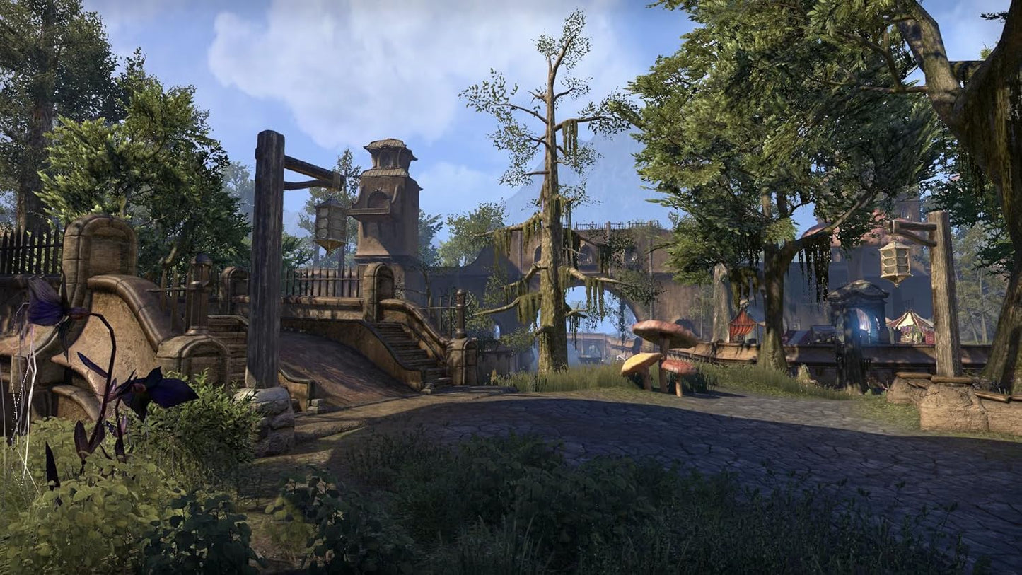 The Elder Scrolls Online: Morrowind (PS4)