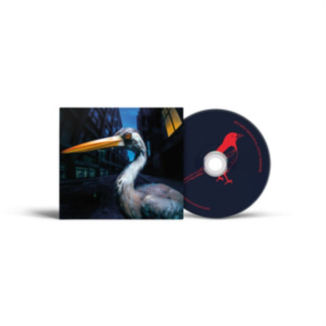 Antony Szmierek - Decoding Birdsong (CD)