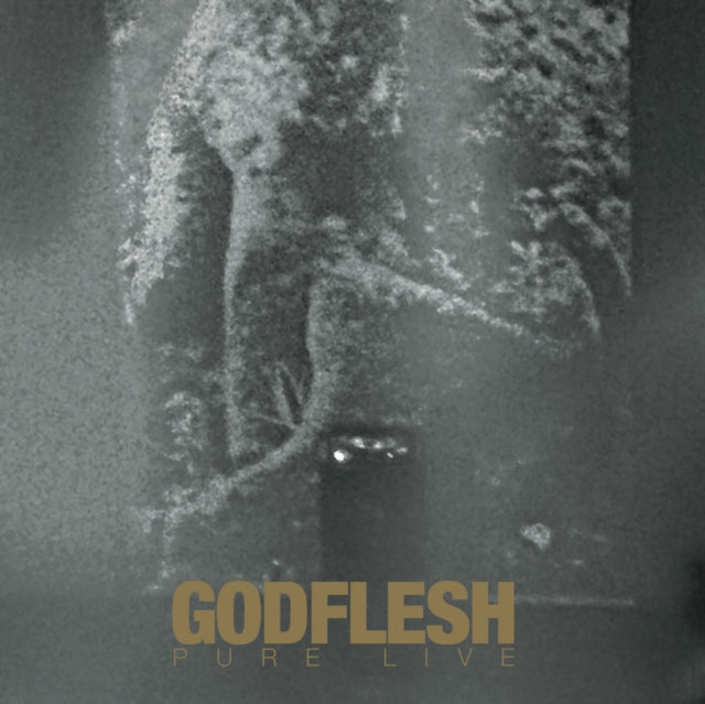 Godflesh - Pure: Live (CD)