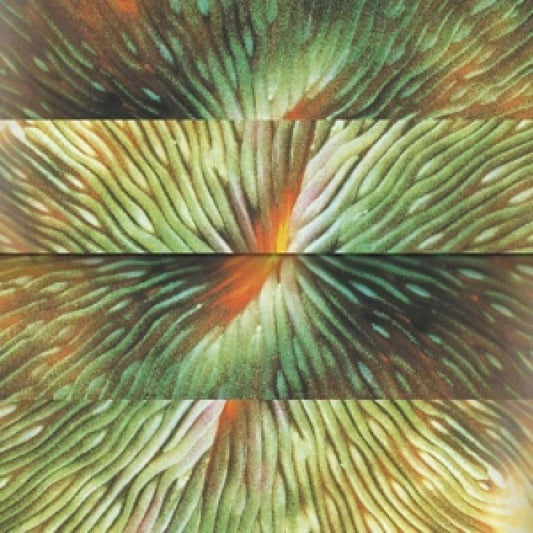 Active Surplus - Mirroring (Vinyl)