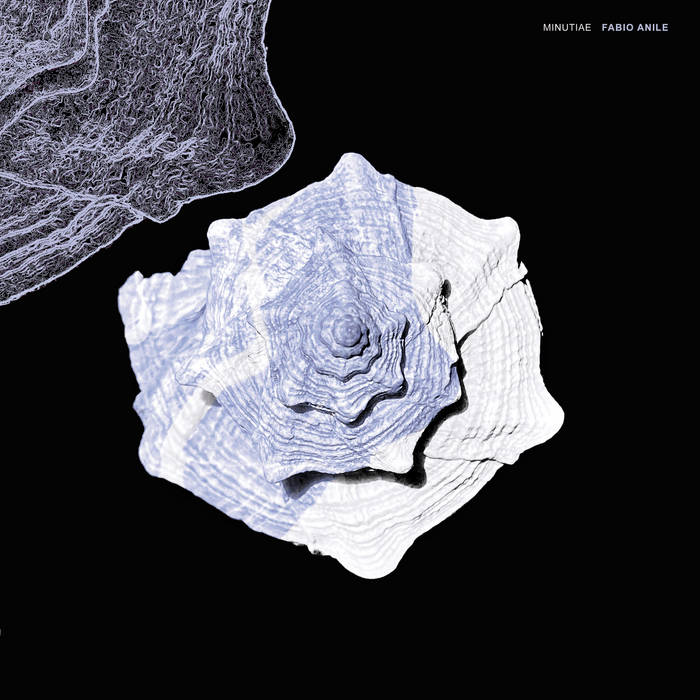 Fabio Anile - Minutiae (Vinyl)