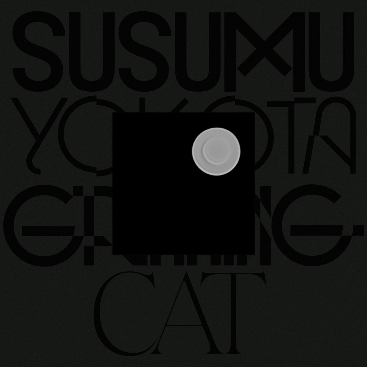 Susumu Yokota - Grinning Cat (Skintone Edition) (Vinyl Single)