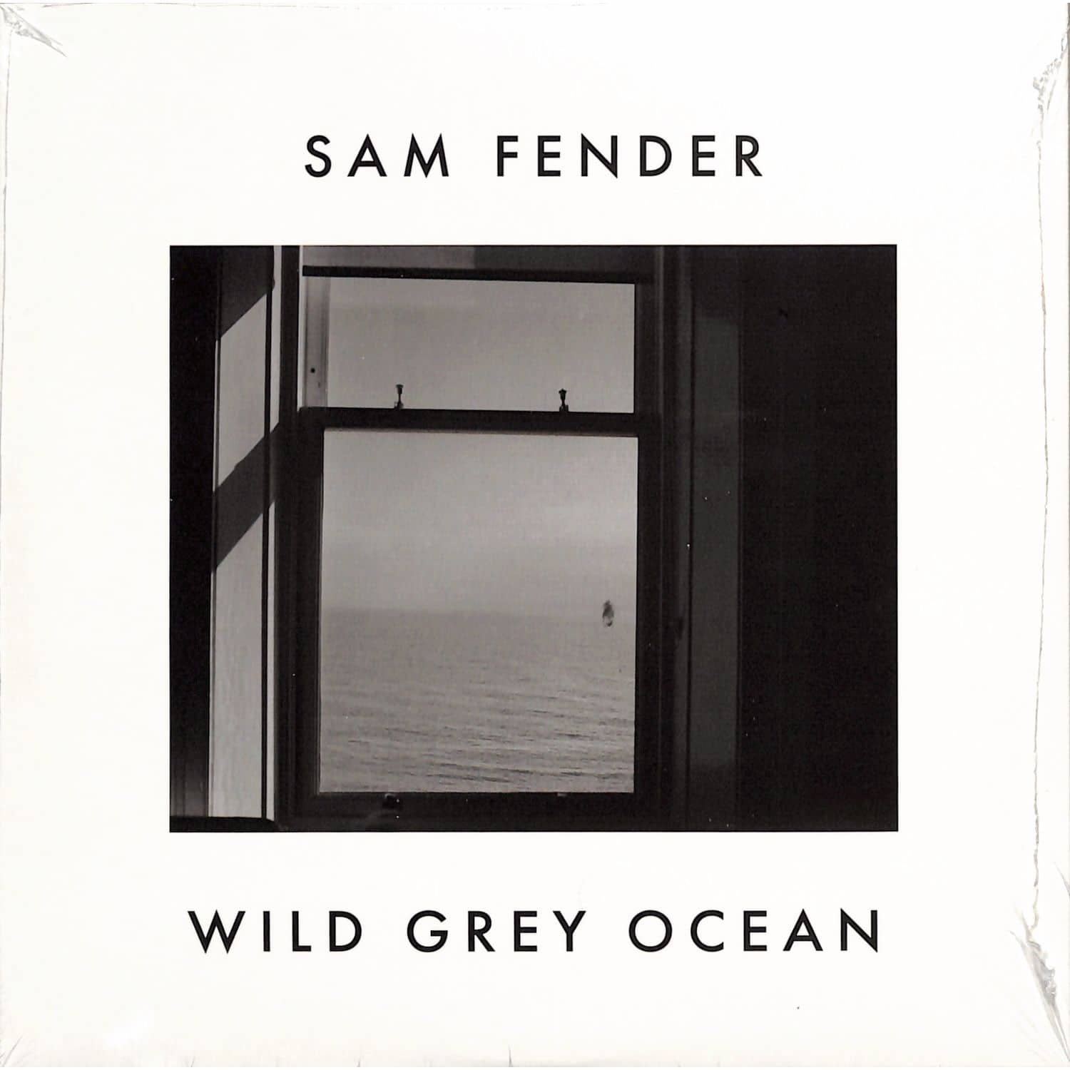 Sam Fender - Wild Grey Ocean / Little Bull Of Blithe (Vinyl)