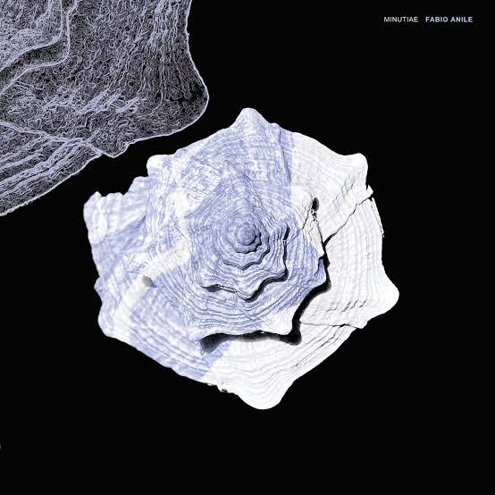 Fabio Anile - Minutiae (CD)