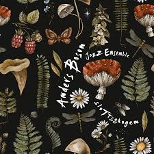 Anders Boson Jazz Ensemble - Slottsskogen (CD)
