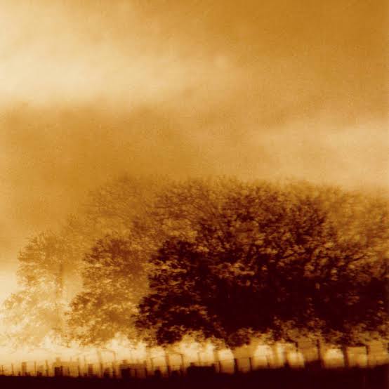 Infinite Light Ltd. - Infinite Light Ltd. (Vinyl)